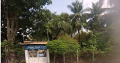 Chùa Pháp Tạng