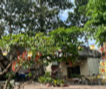 Chùa An Ninh