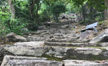 Chùa Bửu Lâm cổ tự