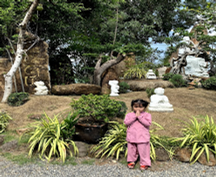 Chùa Buffet