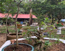 Chùa Thầy Ba Châu