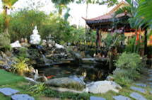 Thiền Viện Trúc Lâm Phật Đăng