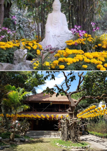 Viện Chuyên Tu 1