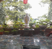 Tịnh thất cây da