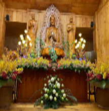 TU VIỆN AN MA NI