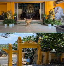 Tịnh Viện Quảng Đức