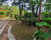 Tịnh Thất Tường Vân