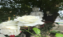 Chùa Phật giáo VIÊN PHƯỚC Già Lam