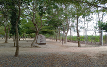 Thiền Viện Tứ Niệm Xứ