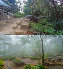 Chùa Văn Thù Phật Đỉnh