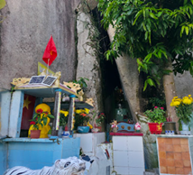 Chùa Bạch Vân Động