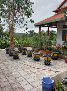 Tịnh thất phổ Quang