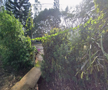 Chùa Chưởng Phước
