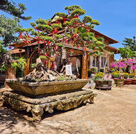 Chùa Pháp Vân