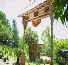 Tùng Lâm Thất