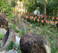 Trúc Lâm Bảo Nguyên