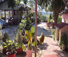 Chùa Viên Phước