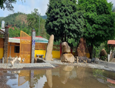 Thiền trang Trúc Lâm Đông Thanh
