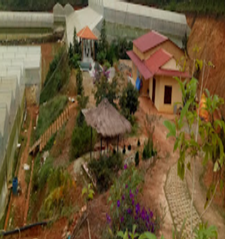 Tịnh thất linh Thắng