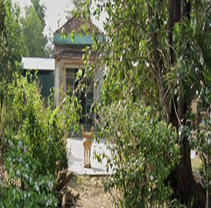 Tịnh Thất Sơn Lâm Tự