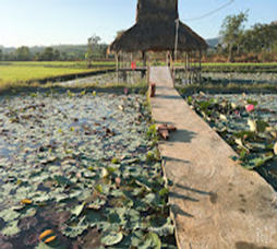 Tu Viện Quan Âm