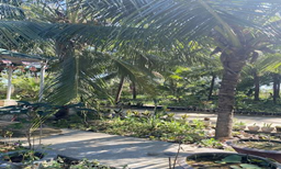 Tịnh xá Ngọc Nhơn