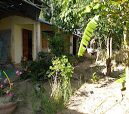 TỊNH XÁ NGỌC NGÔN