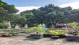 TỊNH XÁ NGỌC NGHĨA
