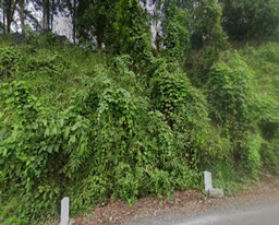Chùa Bảo Sơn