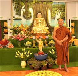 Tuệ Tâm Thiền Thư Quán