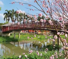 Chùa Thủy Hoa Viên
