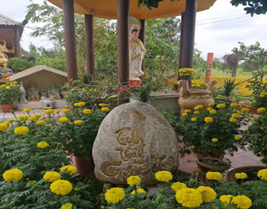 Tịnh thất Giác Ngộ, Huệ Đạt