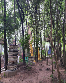 Chùa Cốc Bình Minh - Phường Phước Tân, Đồng Nai