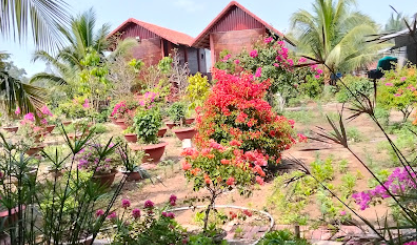 Chùa Nhựt Quang - xã Bình Phước, Vĩnh Long