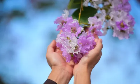 Vô thường là điều chắc thật nhất