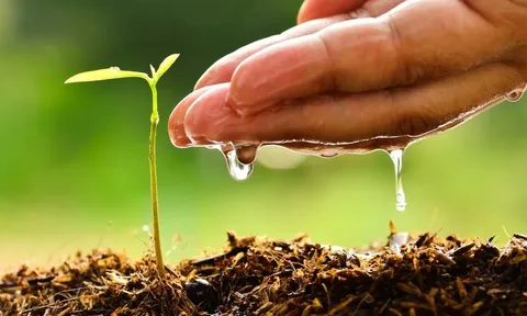 Người tử tế là người có tâm từ bi