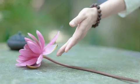 Người điên có thể tu tập và giác ngộ được không?