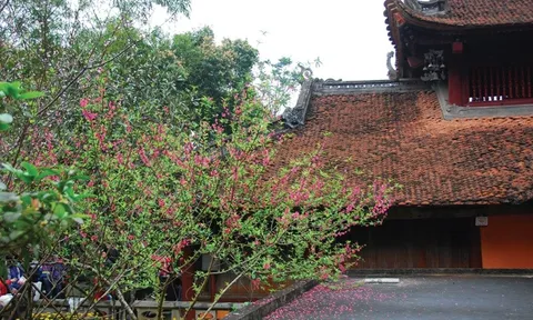 Mùa Xuân qua Kinh Tạng và Văn hóa Phật giáo Việt Nam