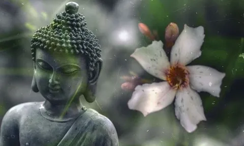 Tôi đã làm gì để "Tâm" mình an yên hơn