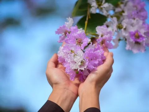 Vô thường là điều chắc thật nhất