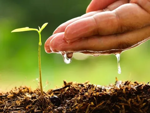 Người tử tế là người có tâm từ bi