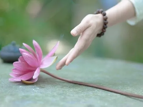 Người điên có thể tu tập và giác ngộ được không?