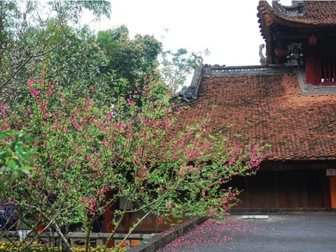 Mùa Xuân qua Kinh Tạng và Văn hóa Phật giáo Việt Nam