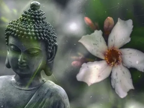 Tôi đã làm gì để "Tâm" mình an yên hơn